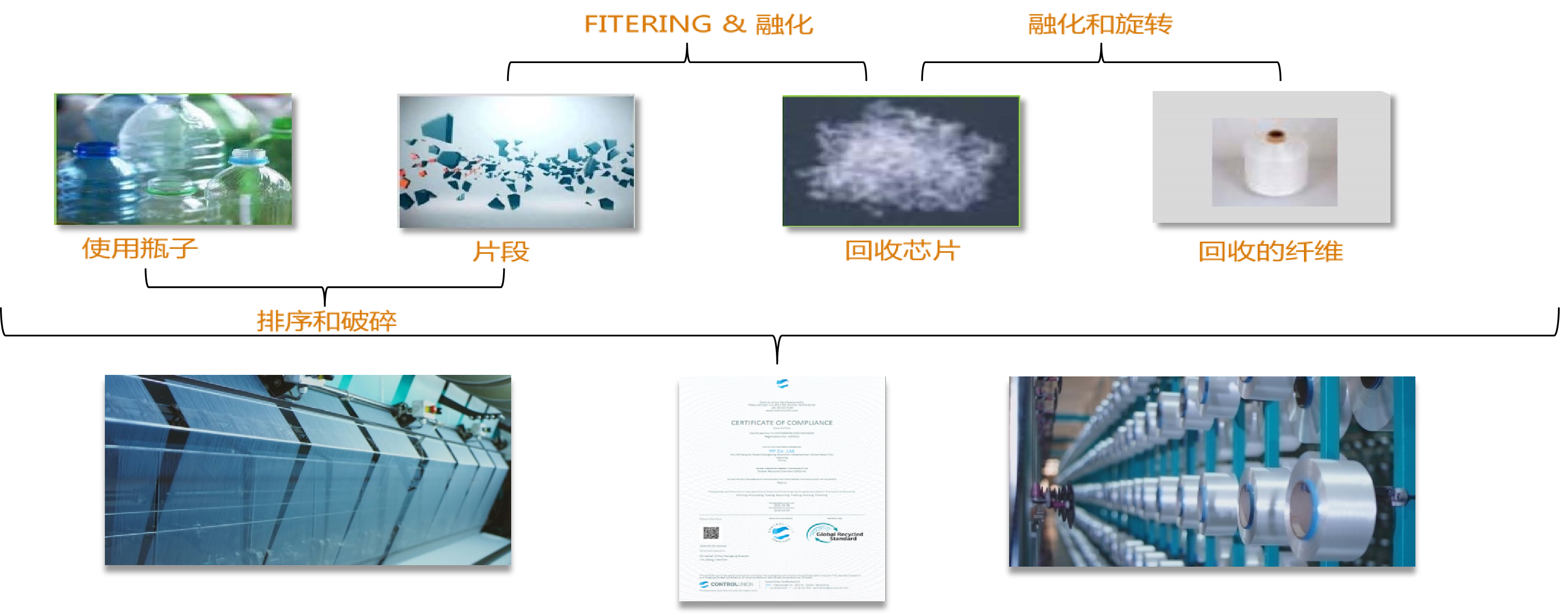 zai.png